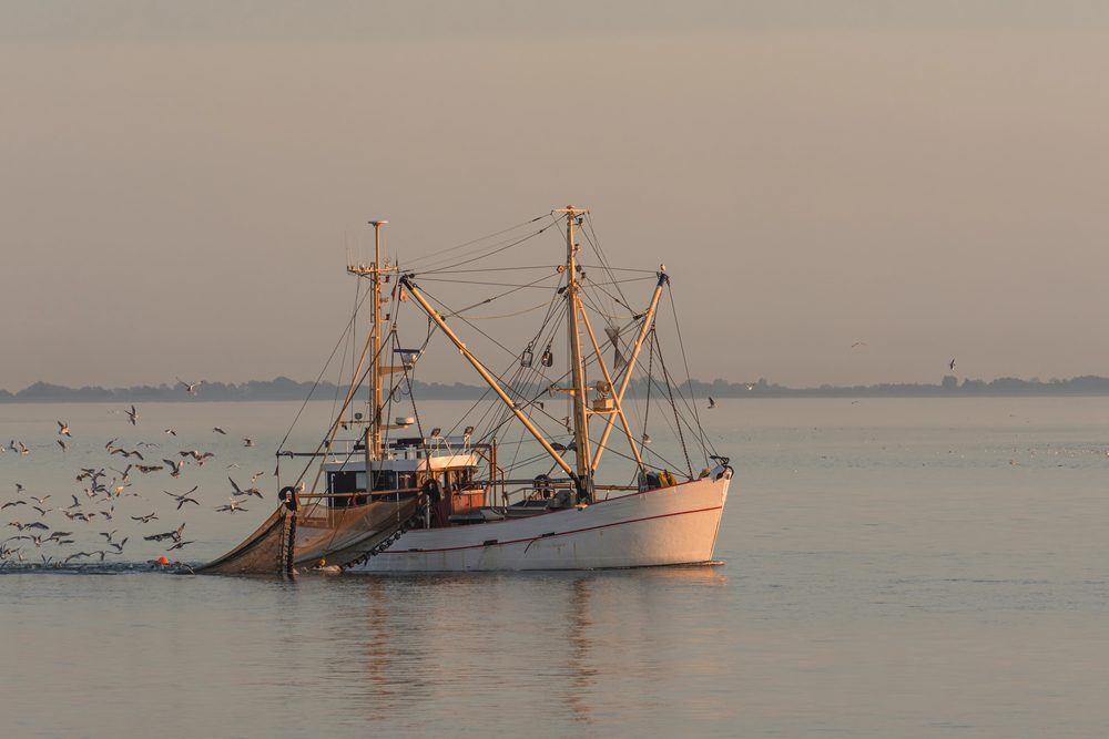 büsum-kutter