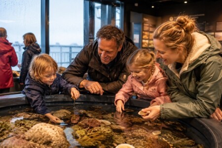 Büsum bei Regen: Die 8 besten Indoor-Ausflugsziele mit Kindern 9 Buesum bei Regen Ausflugsziele