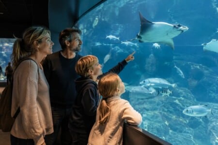 Ozeaneum Stralsund Tickets Highlights