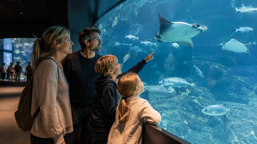 Ozeaneum Stralsund Tickets Highlights