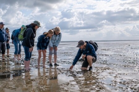 Wattwandern an der Nordsee