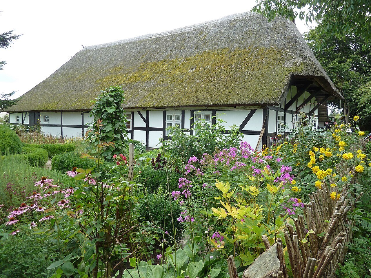 Reetgedecktes Fachwerkhaus hinter einem blühenden Bauerngarten im Freilichtmuseum Klockenhagen