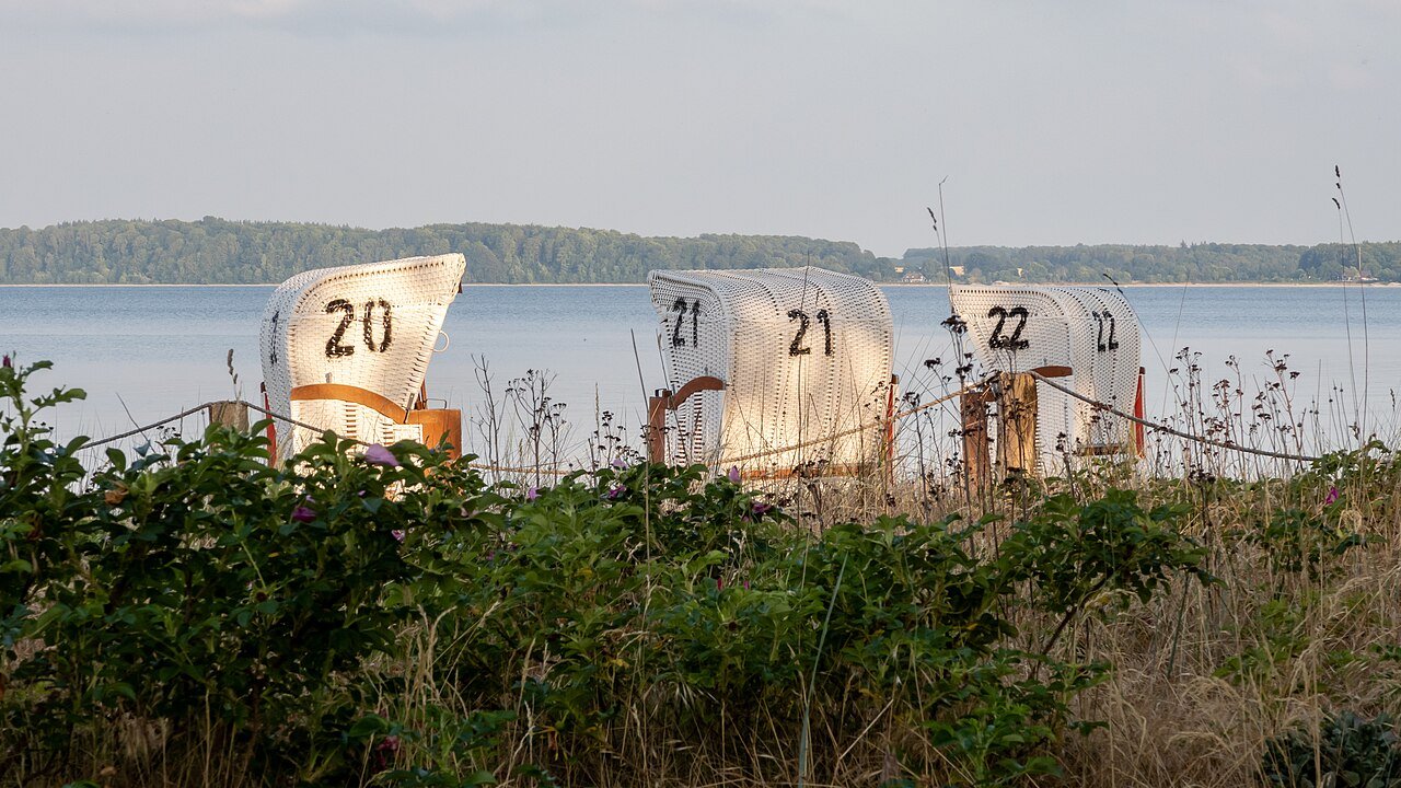 Strandkörbe hinter Dünenrosen am Strand von Eckernförde an der Ostsee