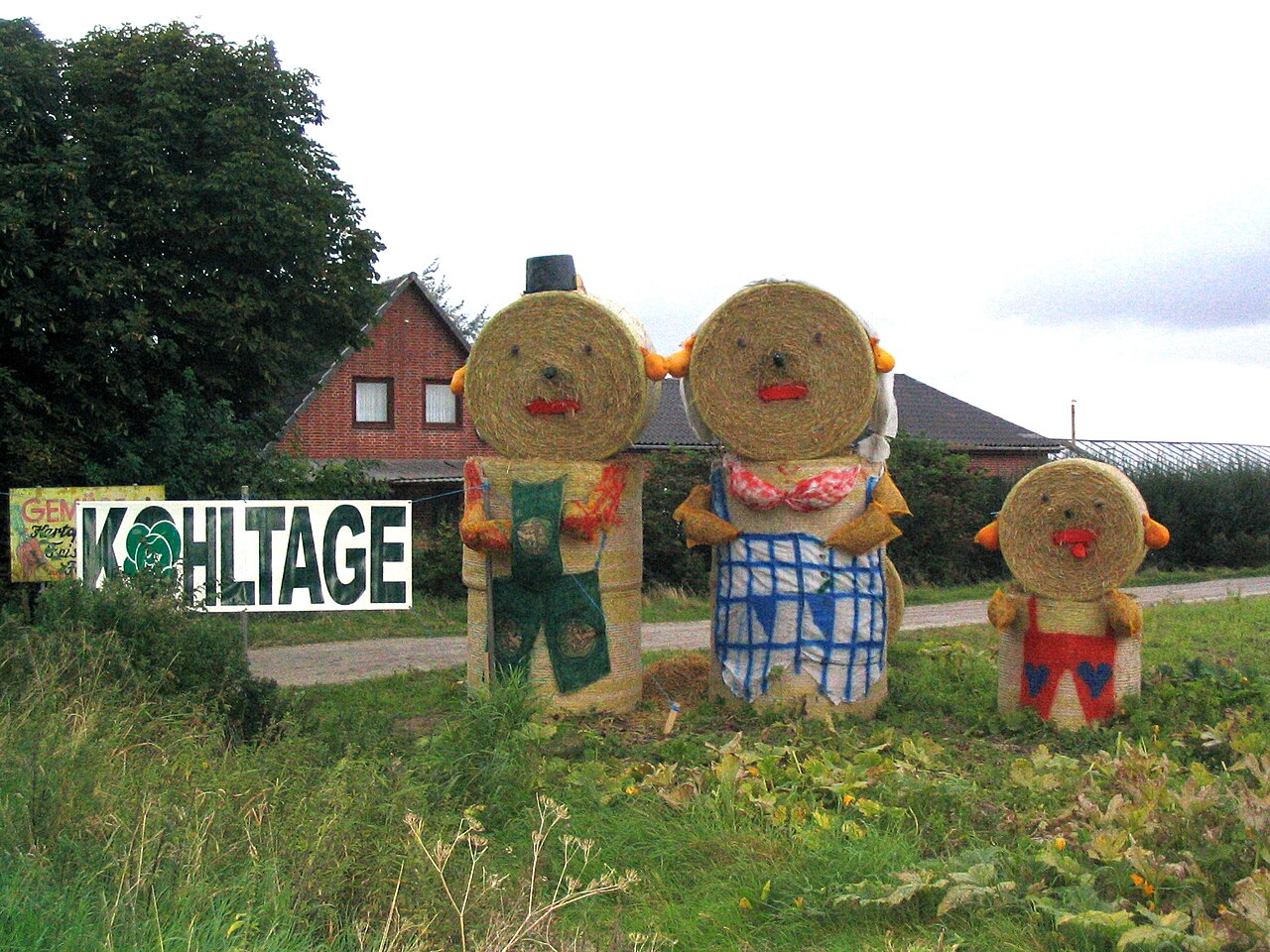 Strohfiguren mit Kohlköpfen als Festschmuck der Dithmarscher Kohltage an einer Straße in Wesselburenerkoog.