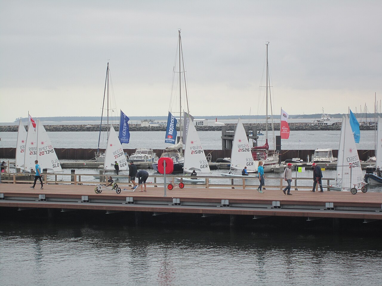 Zahlreiche Laser-Segelboote mit weißen Segeln liegen zur Regattavorbereitung an der Mittelmole in Warnemünde.