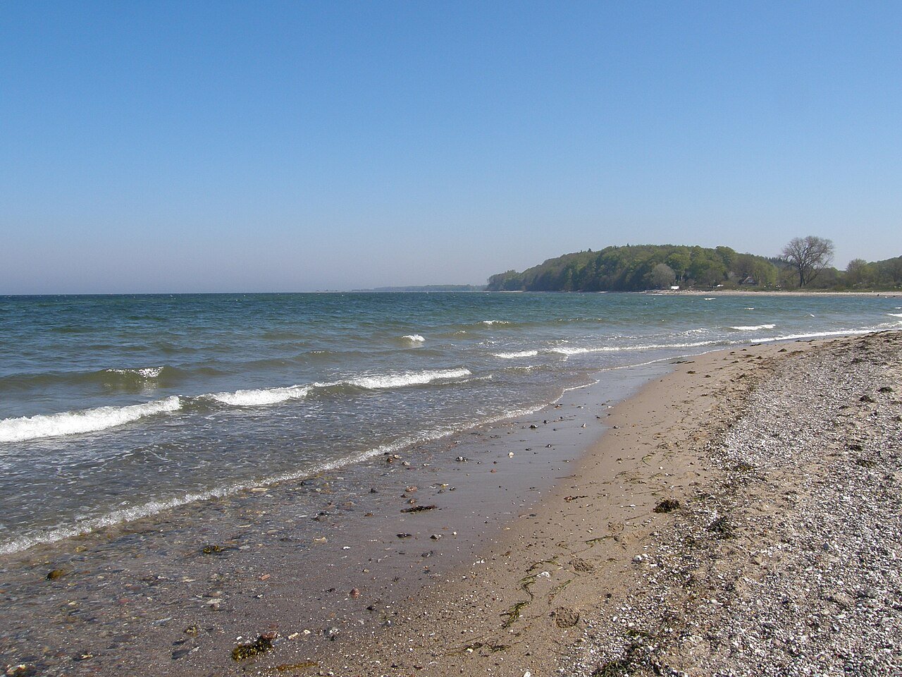 Strand bei Eckernförde mit Blick über die Bucht auf die bewaldete Steilküste