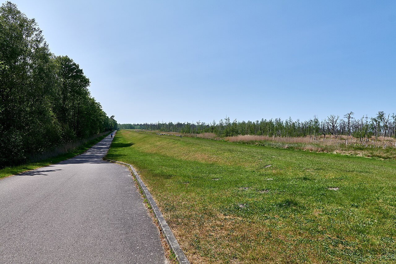 Asphaltierter Weg am Deich auf Zingst im Nationalpark Vorpommersche Boddenlandschaft